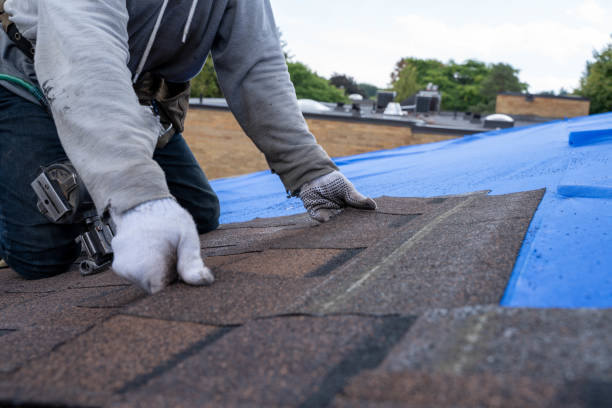 Best Storm Damage Roof Repair  in Odon, IN