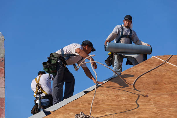 Best Roof Gutter Cleaning  in Odon, IN
